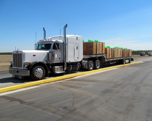<a href="https://superioralmond.com/services/almond-shipping-services/">Shipping</a>